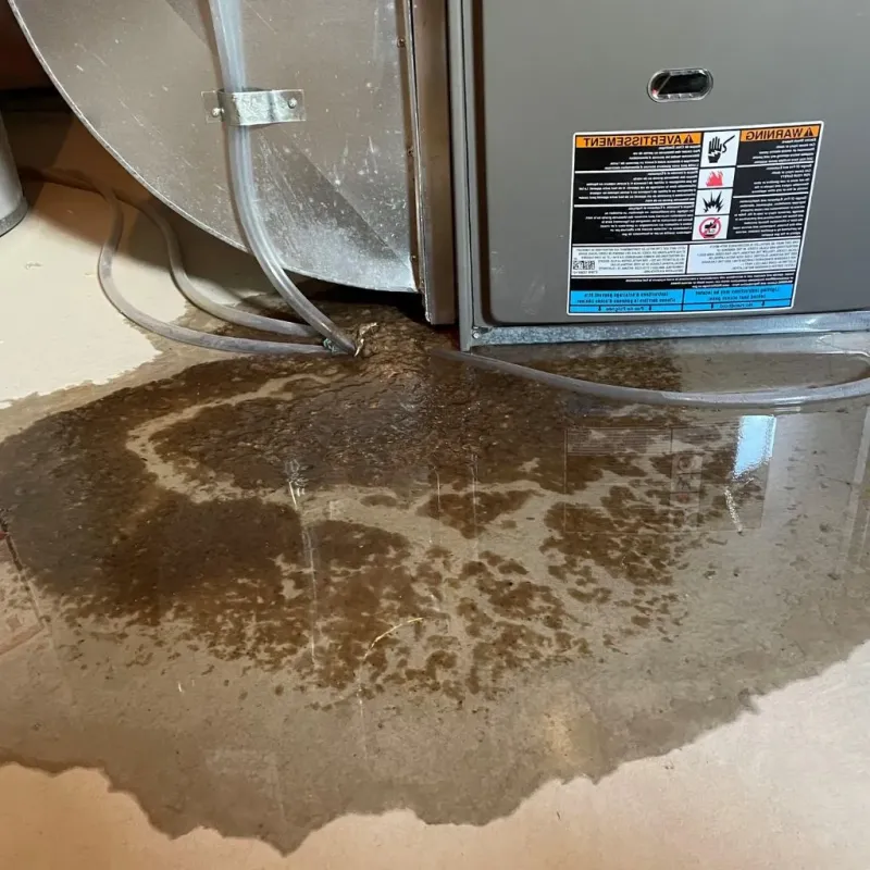 Pipe Burst and Leak Restoration in Ferry Pass, FL